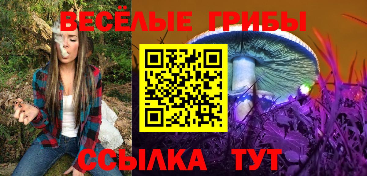 Мичуринск  Галлюциногенные грибы Psilocybine cubensis  закладка  Вход с VPN 