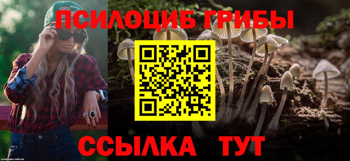 Галлюциногенные грибы Psilocybine cubensis Мичуринск